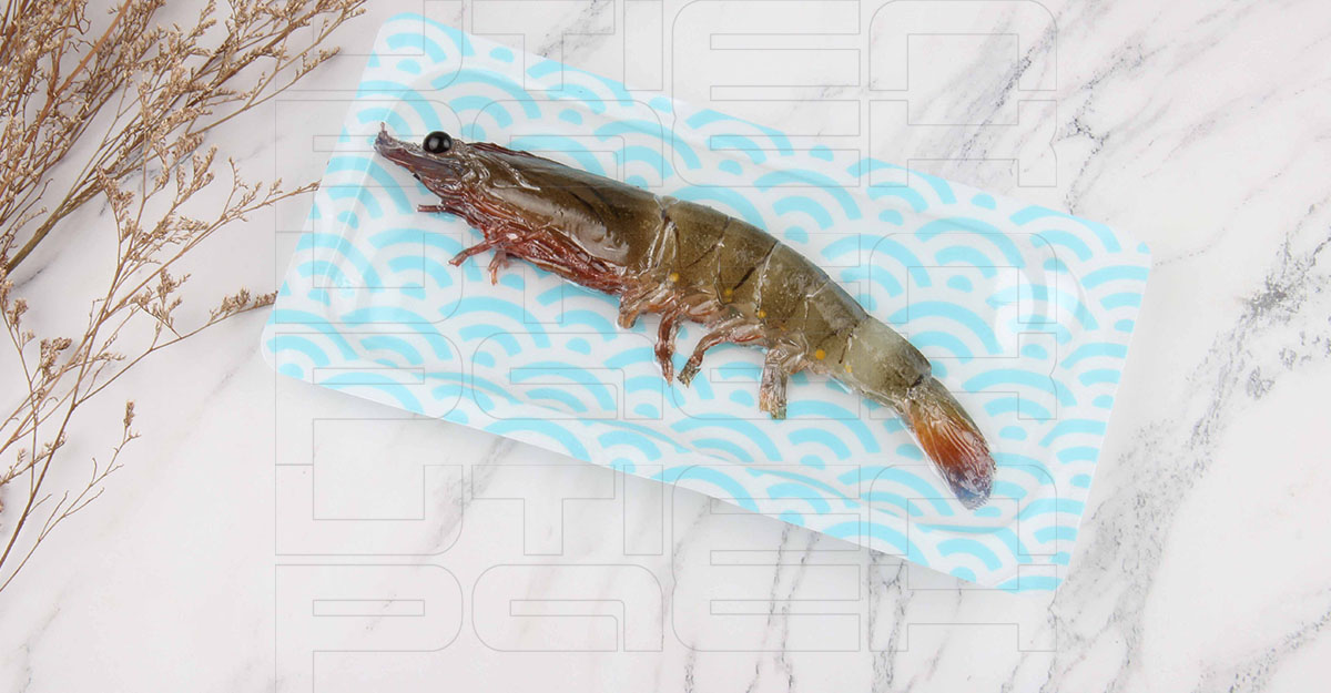 ��Ϻ�ȳ��͸������װ